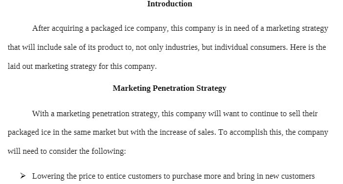 MT 450 MT450 MT/450 Marketing Strategy