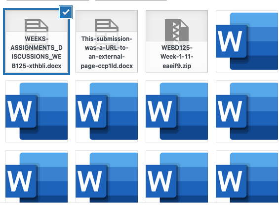 WEBD-125: Web Page Development I